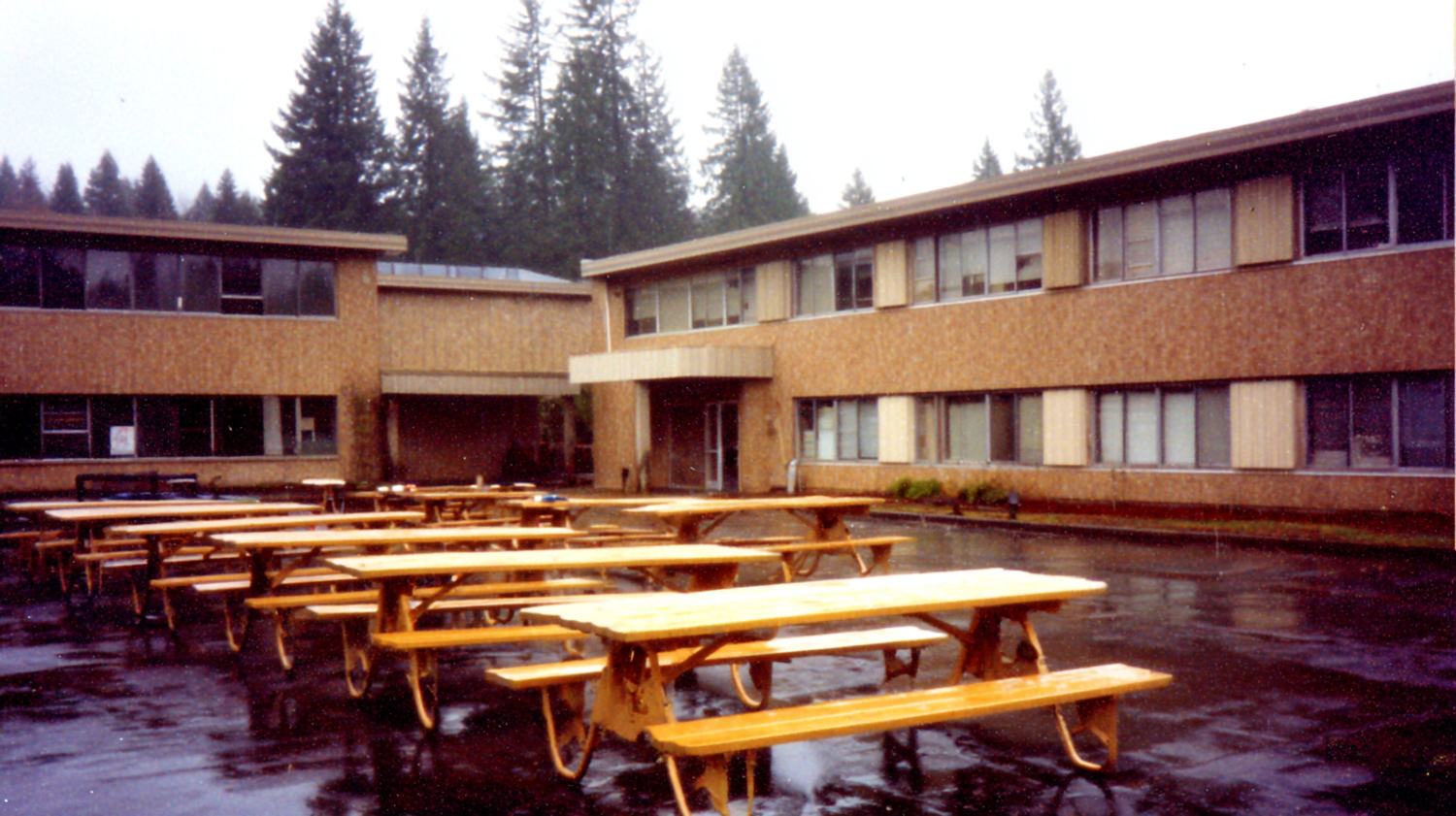 The Comeback of Vocational Schools