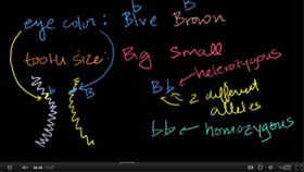 Introduction to Heredity: Heredity and Classical Genetics - Dominant and recessive traits - Heterozygous and homozygous